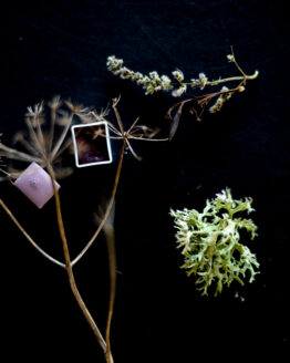 festive 2021-7 festive 2021-7