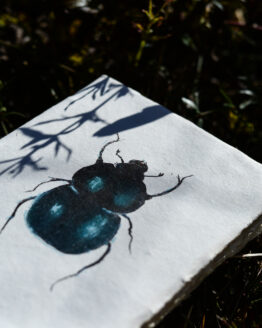 klades un rieksti-12