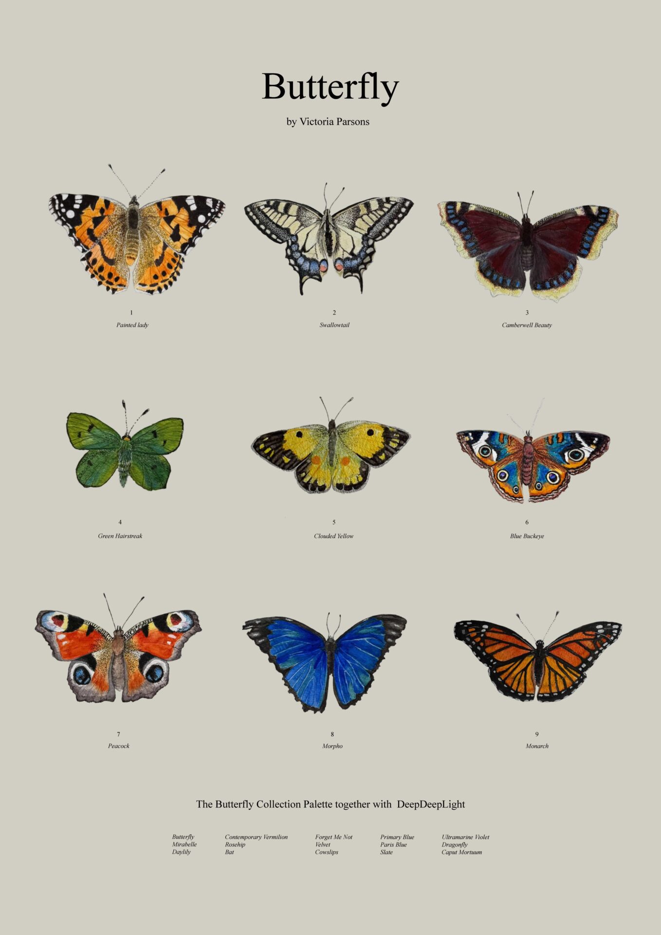 The Butterfly Collection - Image 17