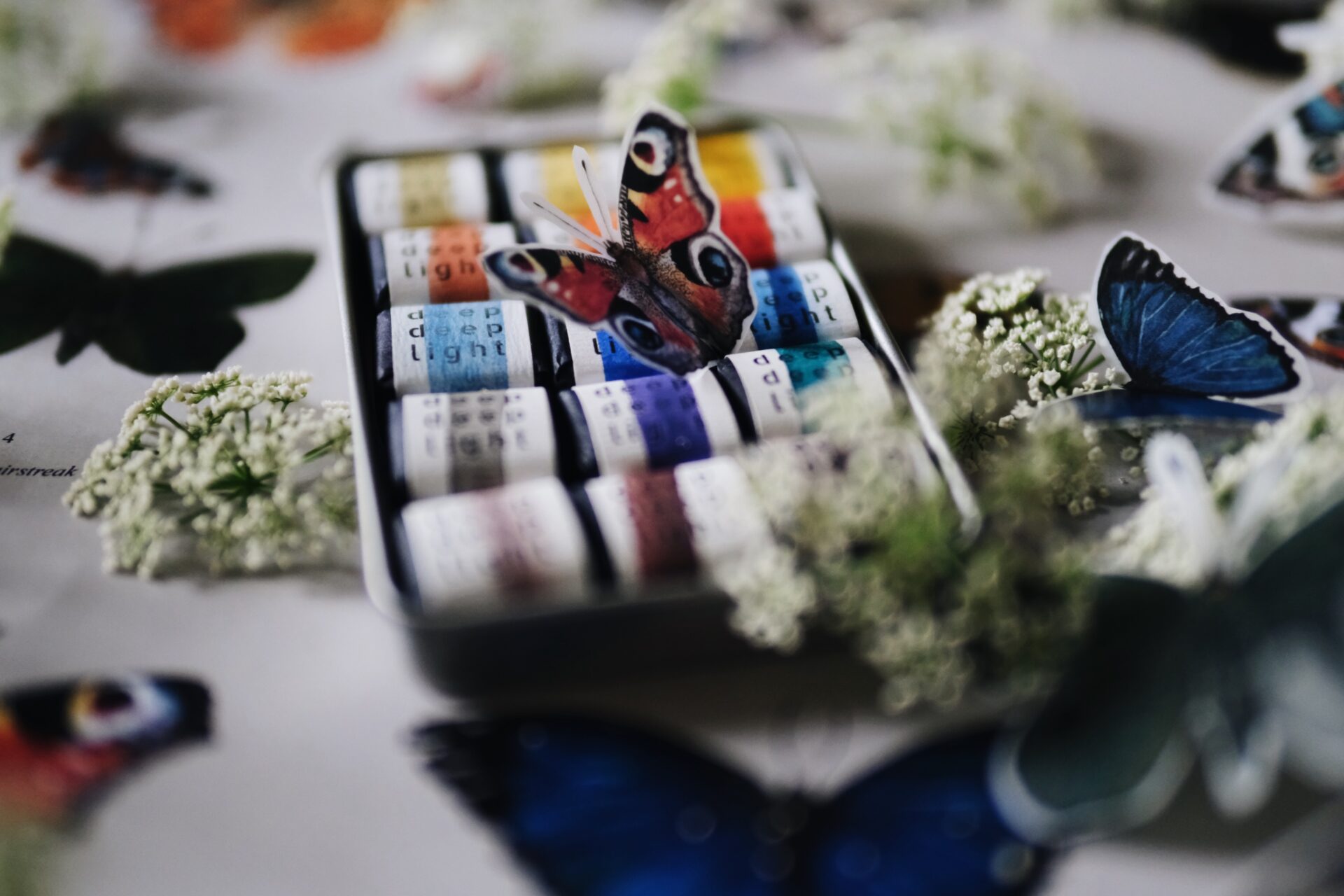 The Butterfly Collection