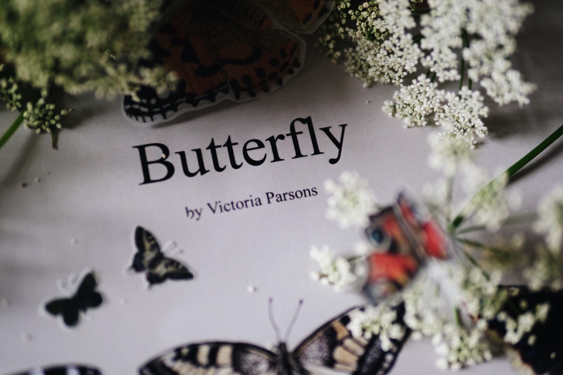 The Butterfly Collection - Image 14