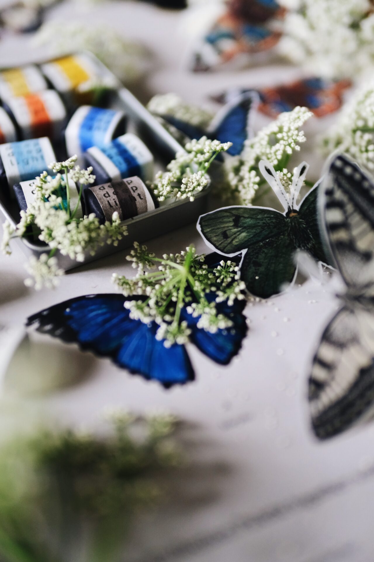 The Butterfly Collection - Image 11