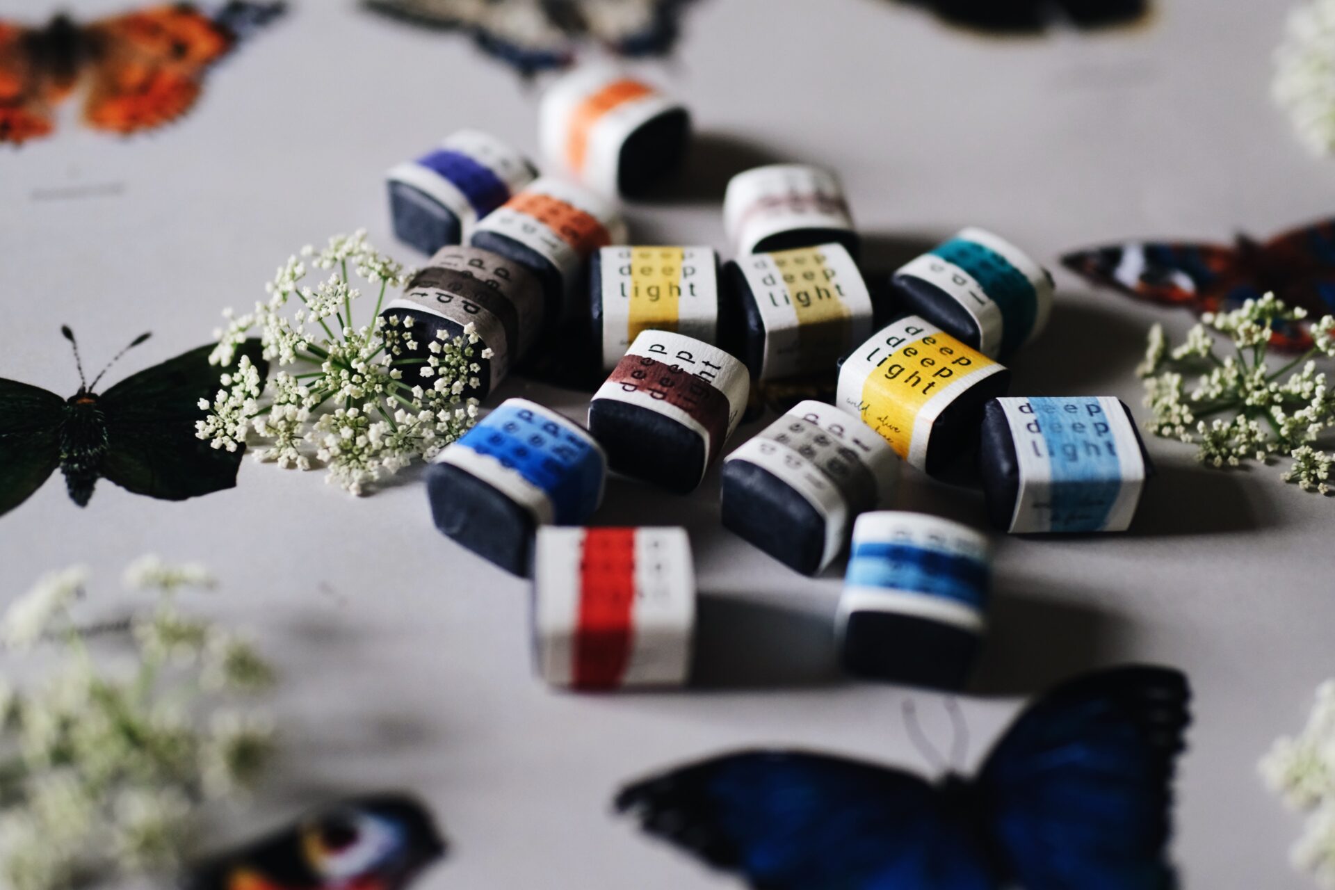 The Butterfly Collection - Image 9