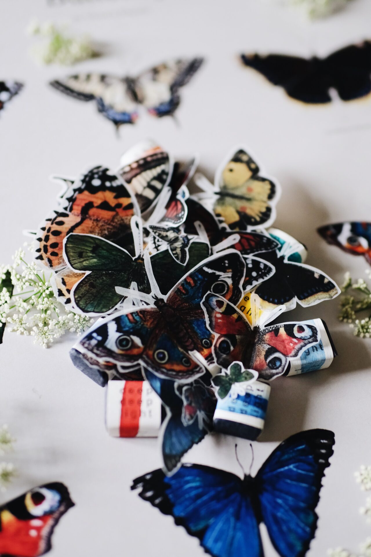 The Butterfly Collection - Image 8