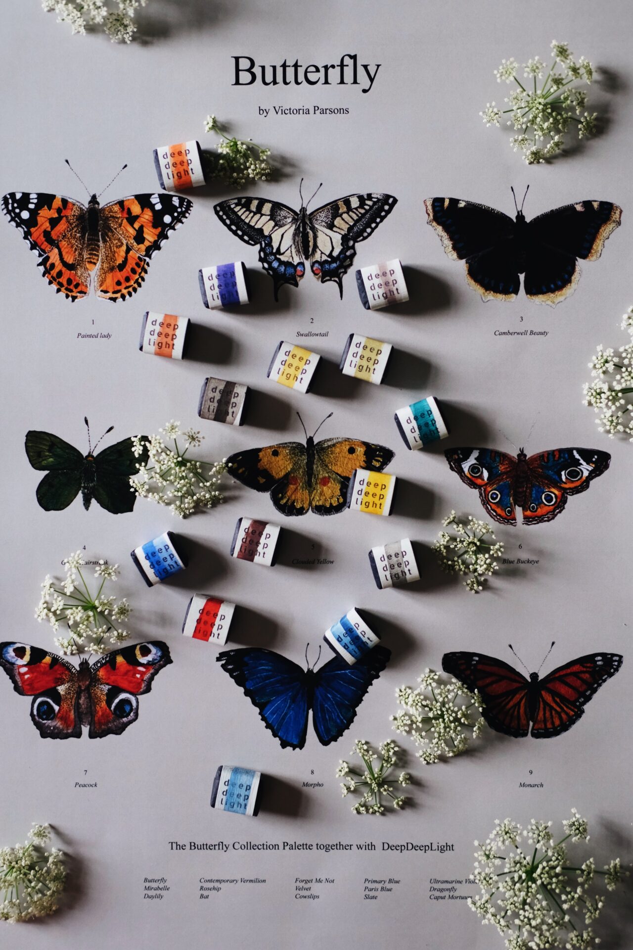 The Butterfly Collection - Image 7