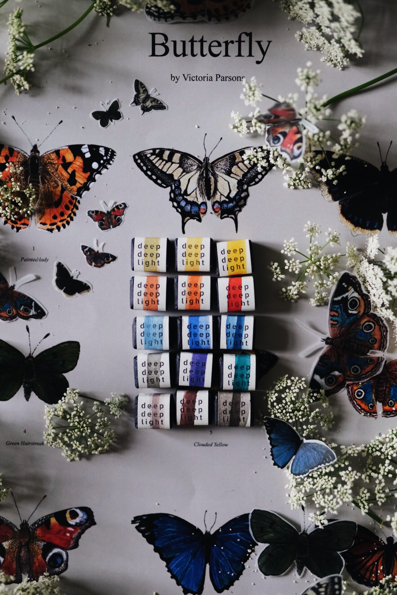 The Butterfly Collection - Image 5