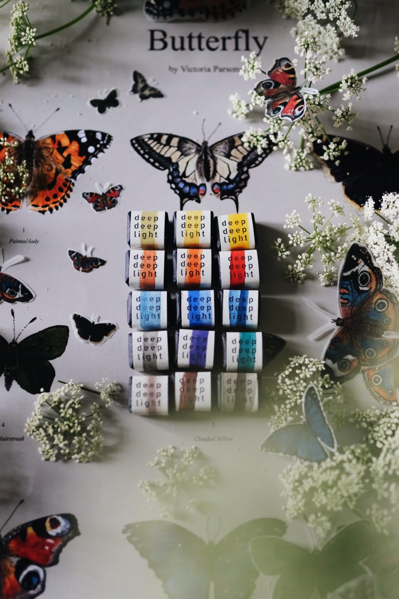 The Butterfly Collection - Image 4