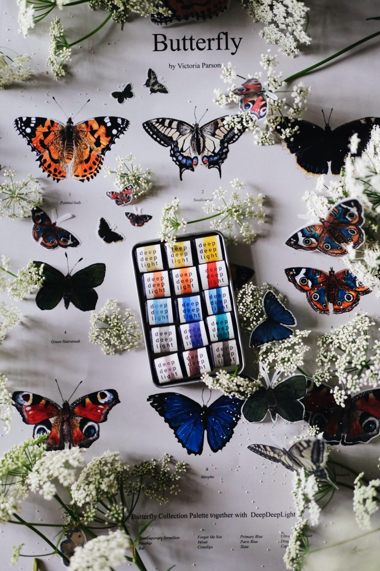 The Butterfly Collection - Image 2