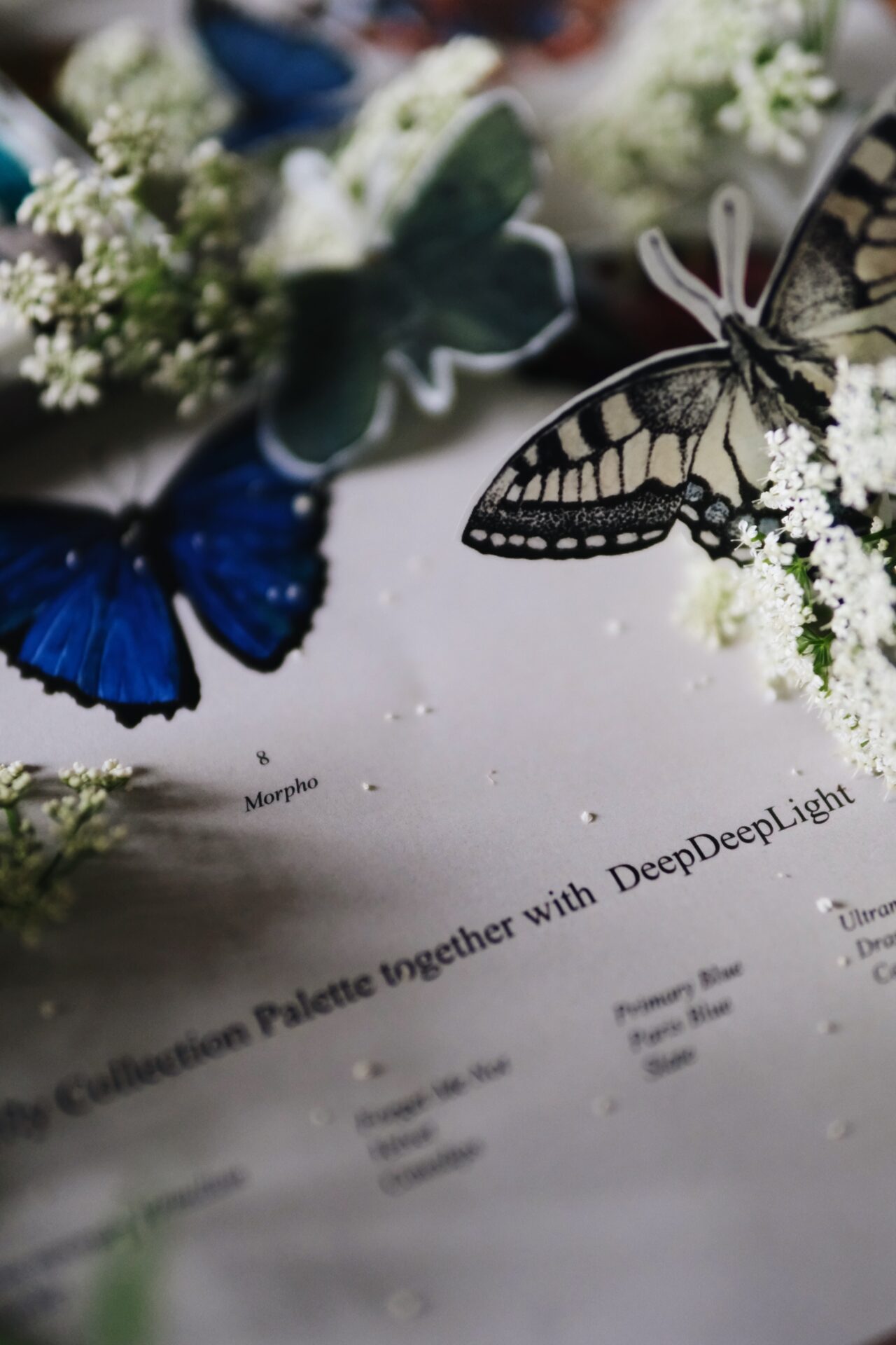 The Butterfly Collection - Image 15